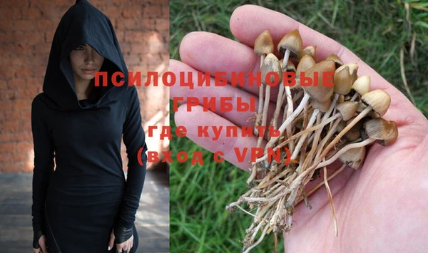 прущий лед Аркадак