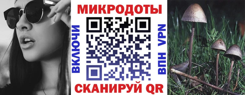 KRAKEN ТОР  где найти   Темрюк  Галлюциногенные грибы GOLDEN TEACHER 